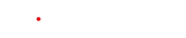Experior Group Inc.
